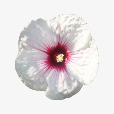 프로필