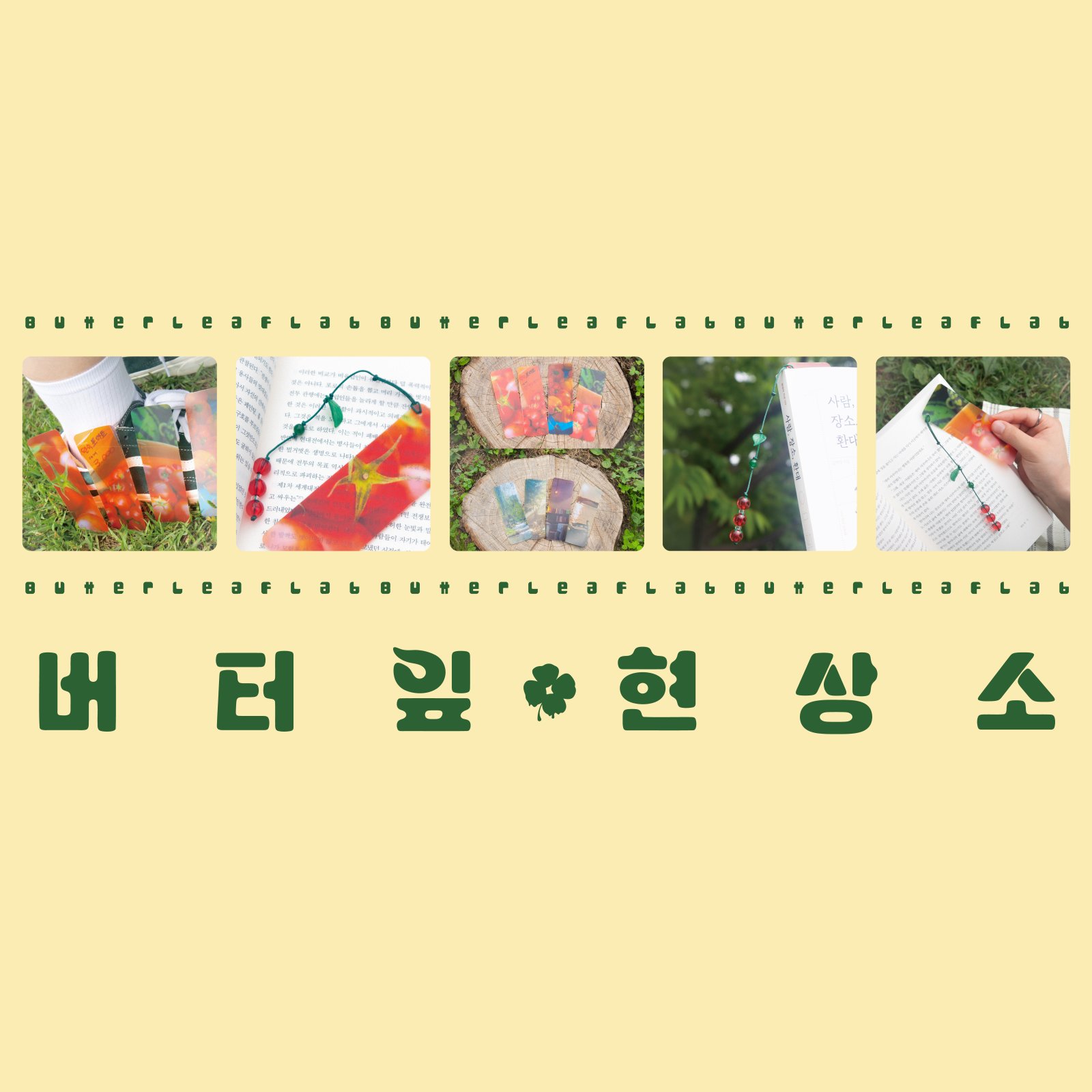 버터잎 현상소