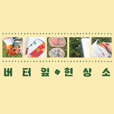 버터잎 현상소