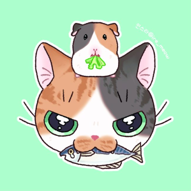[이레] 인스타 @ire_meow