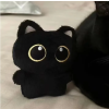 서코 검정고양이 인형