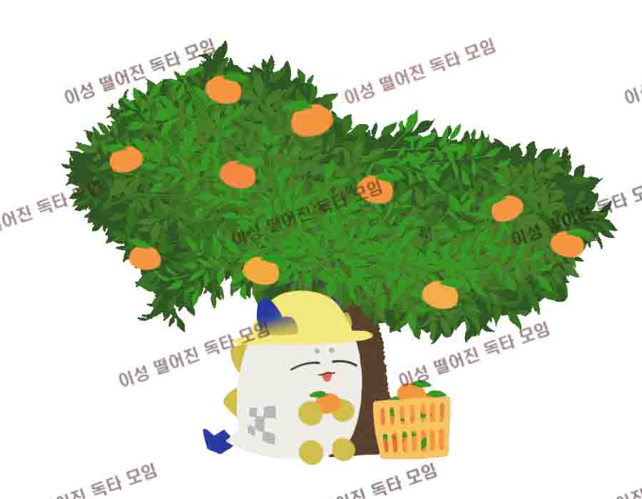 슈 렌티큘러 코롯토